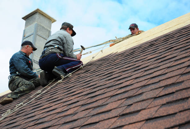 Best Gutter Installation and Roofing  in Adair Village, OR